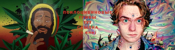 дурь Осташков