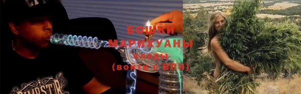 дурь Осташков