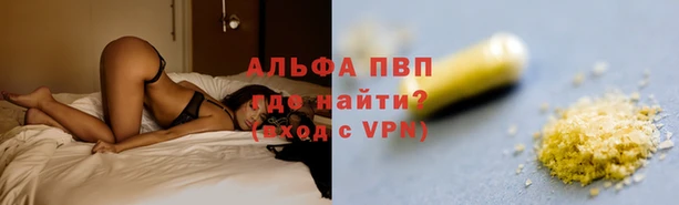 дурь Осташков