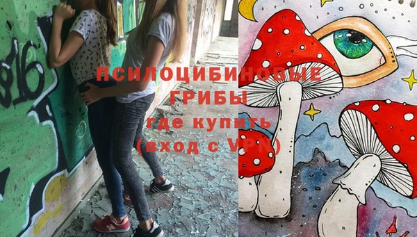 дмт Весьегонск