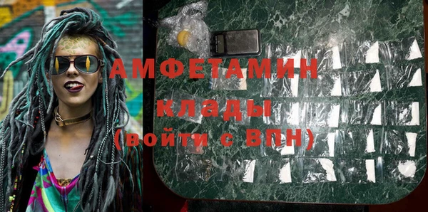 крисы Осинники