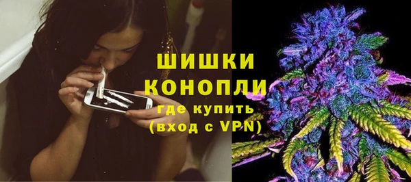 дурь Осташков