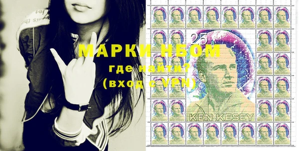 дурь Осташков