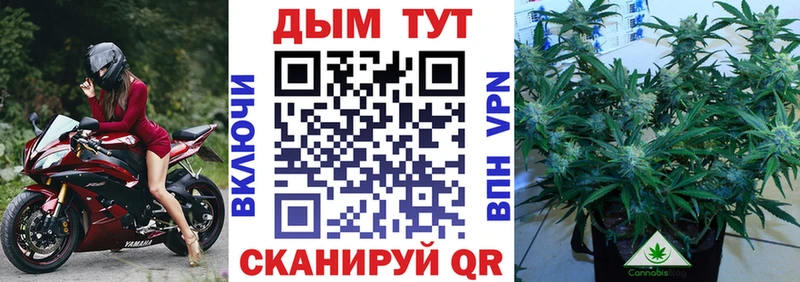 kraken зеркало  Пугачёв  Марихуана конопля 